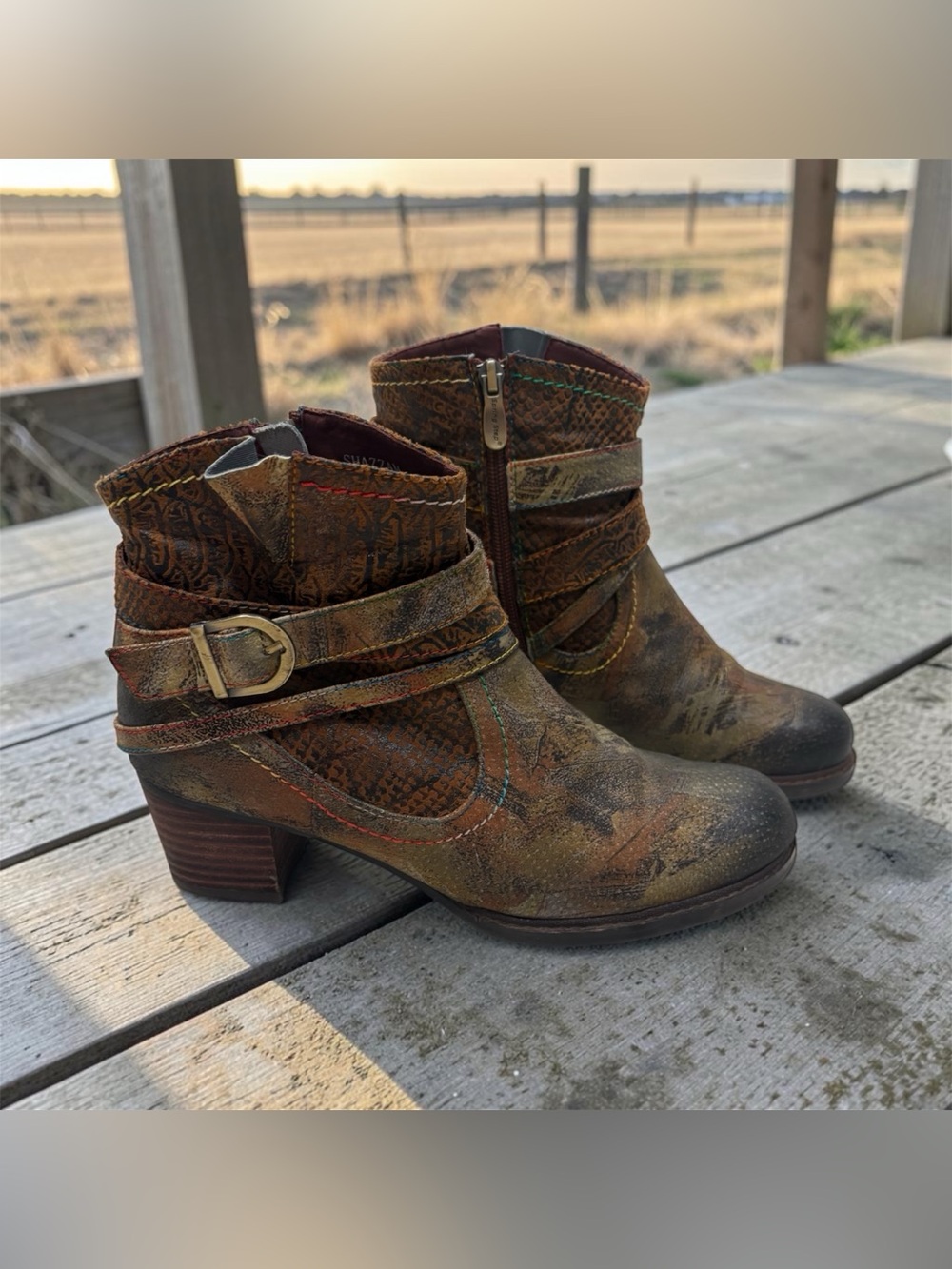 L’Artiste Spring Step Shazzam Hand Painted Leather Ankle Booties Size 40 US 9